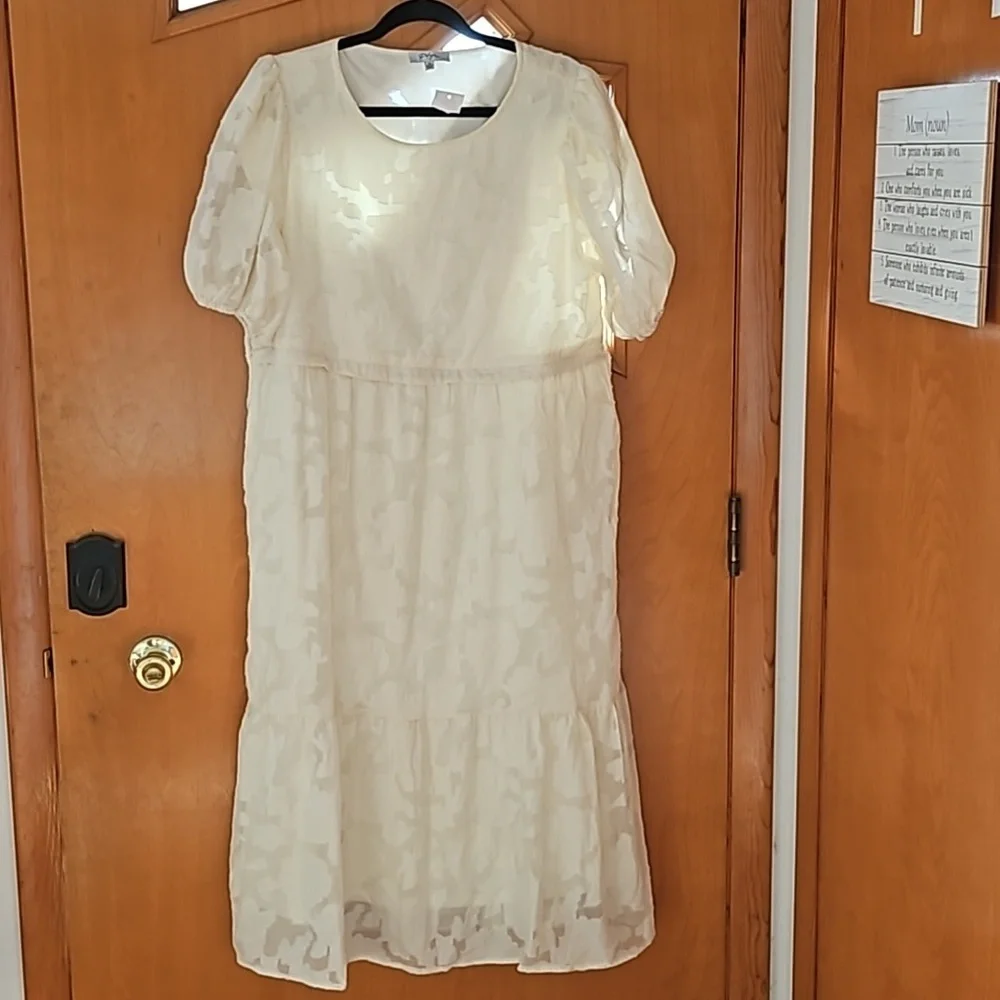 NWT Cream Flocked Floral Maternity Nursing Dress Size 1XL - Picture 8 of 9